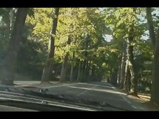 video by doga dorik