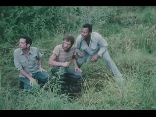 video by sergey obraztsov