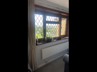 sharonk 3
